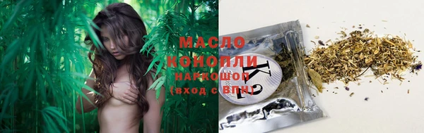 молекула духа Ельня