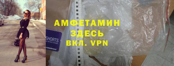 молекула духа Ельня