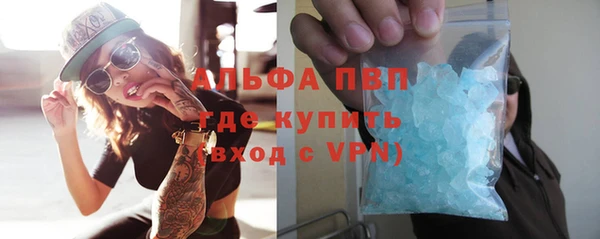 молекула духа Ельня