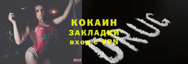 молекула духа Ельня