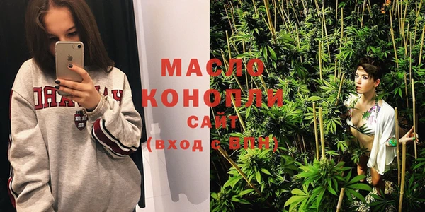 молекула духа Ельня