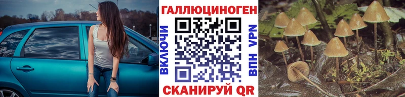 Купить  Цивильск  Галлюциногенные грибы прущие грибы 